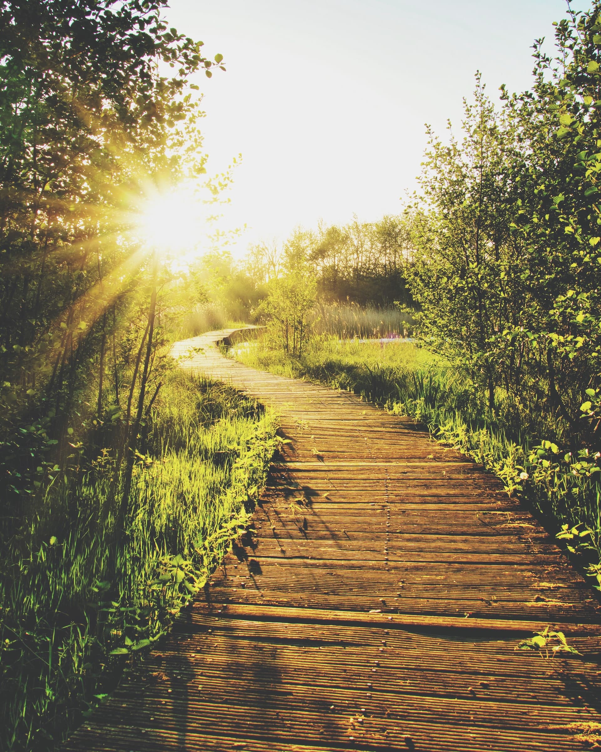 Chemin de planches en bois vers le soleil couchant